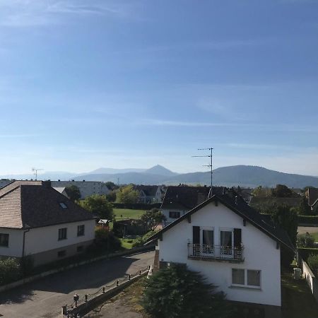 Appartement Chaleureux Et Lumineux Avec Vue ! Au Centre Alsace Selestat Ngoại thất bức ảnh