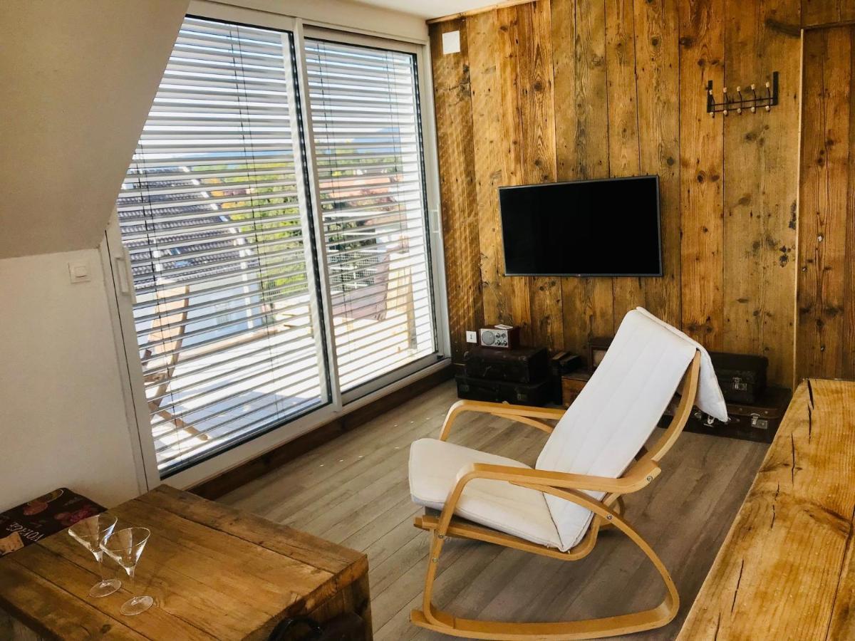 Appartement Chaleureux Et Lumineux Avec Vue ! Au Centre Alsace Selestat Ngoại thất bức ảnh