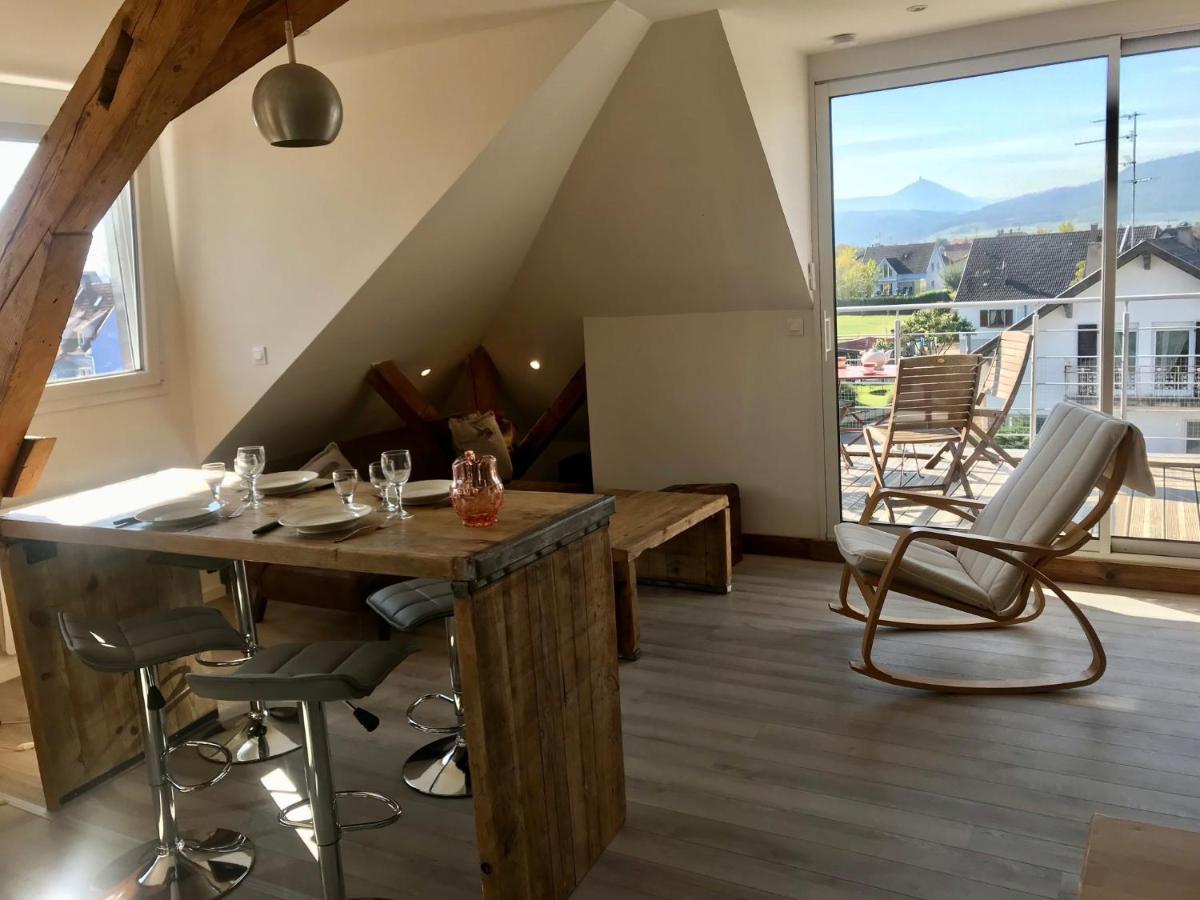 Appartement Chaleureux Et Lumineux Avec Vue ! Au Centre Alsace Selestat Ngoại thất bức ảnh